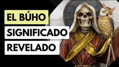 tatuajes de santa muerte con buho